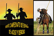 Acoso y derribo acosoyderribo