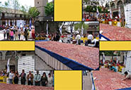 Record Guinnes de corte de jamon jamon